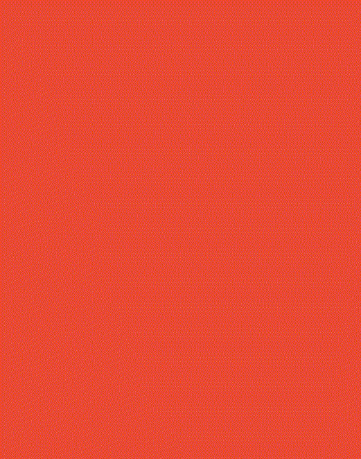 滑鸡盖饭局品牌设计